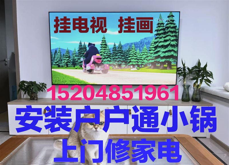 上門修家電，掛電視，掛畫，安小鍋，安熱水器15204851961